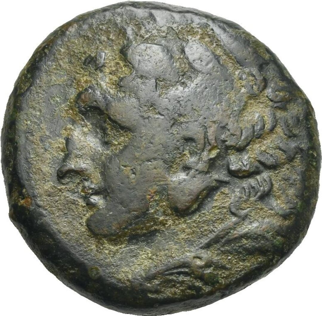 Dritto moneta