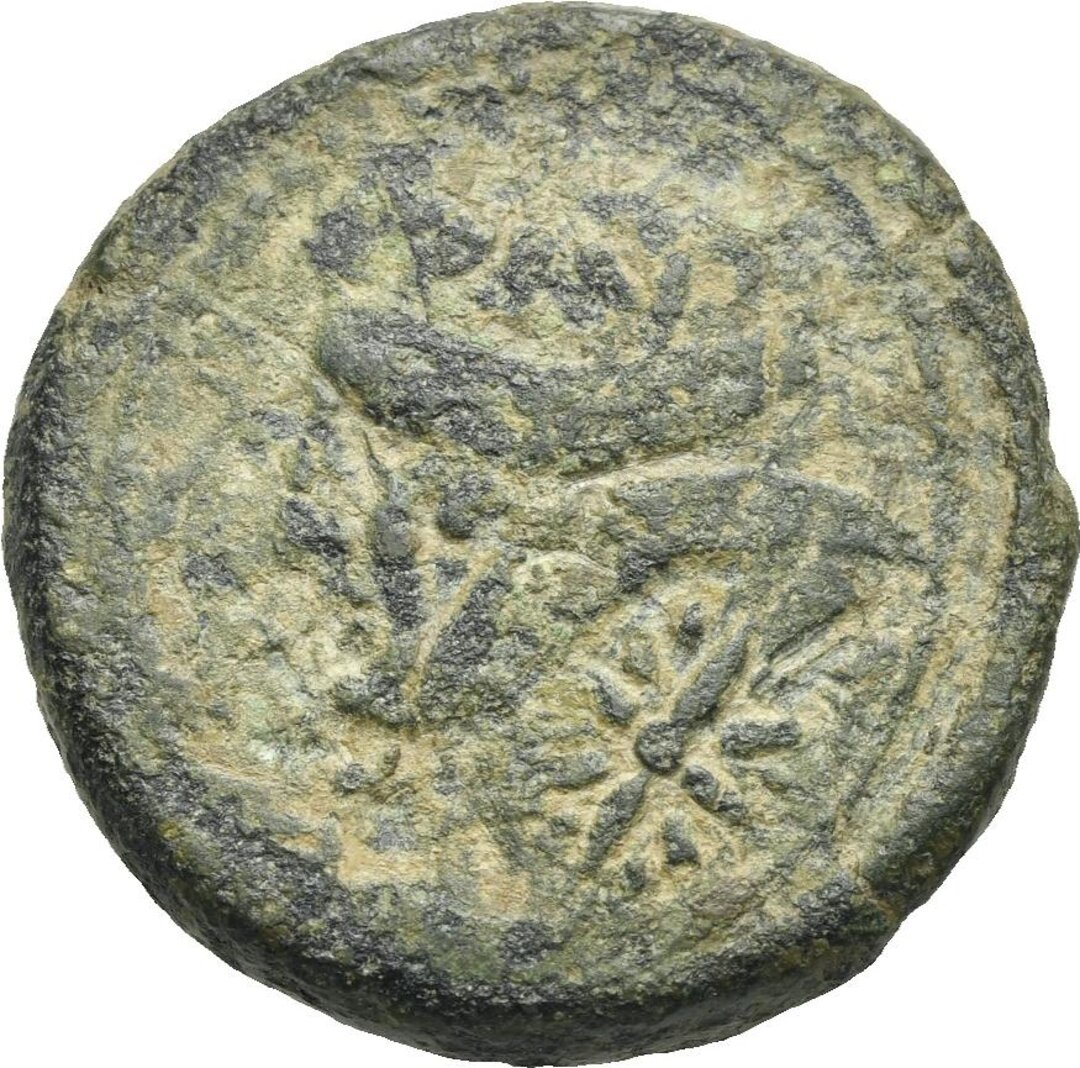 Dritto moneta