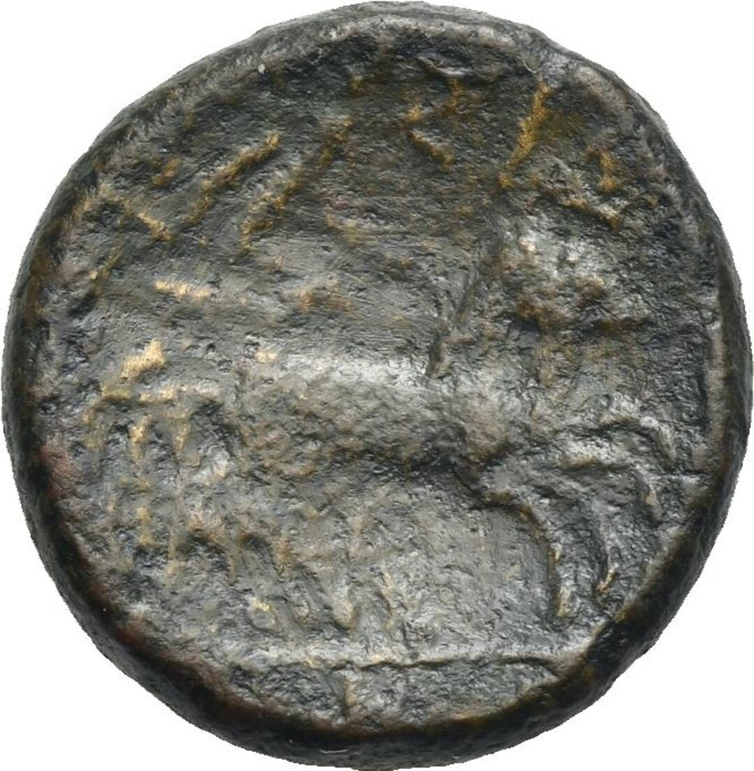 Rovescio moneta