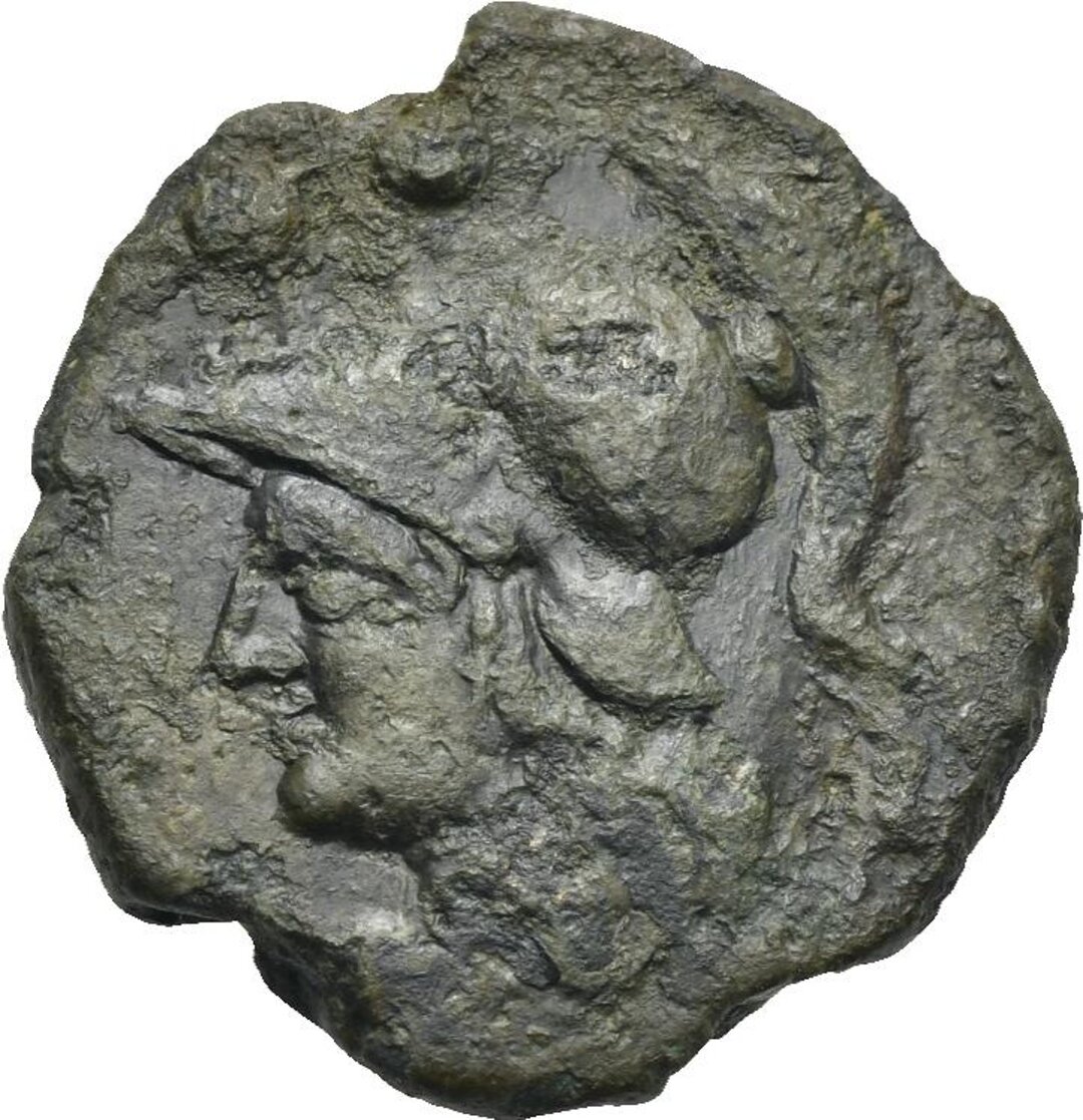 Dritto moneta