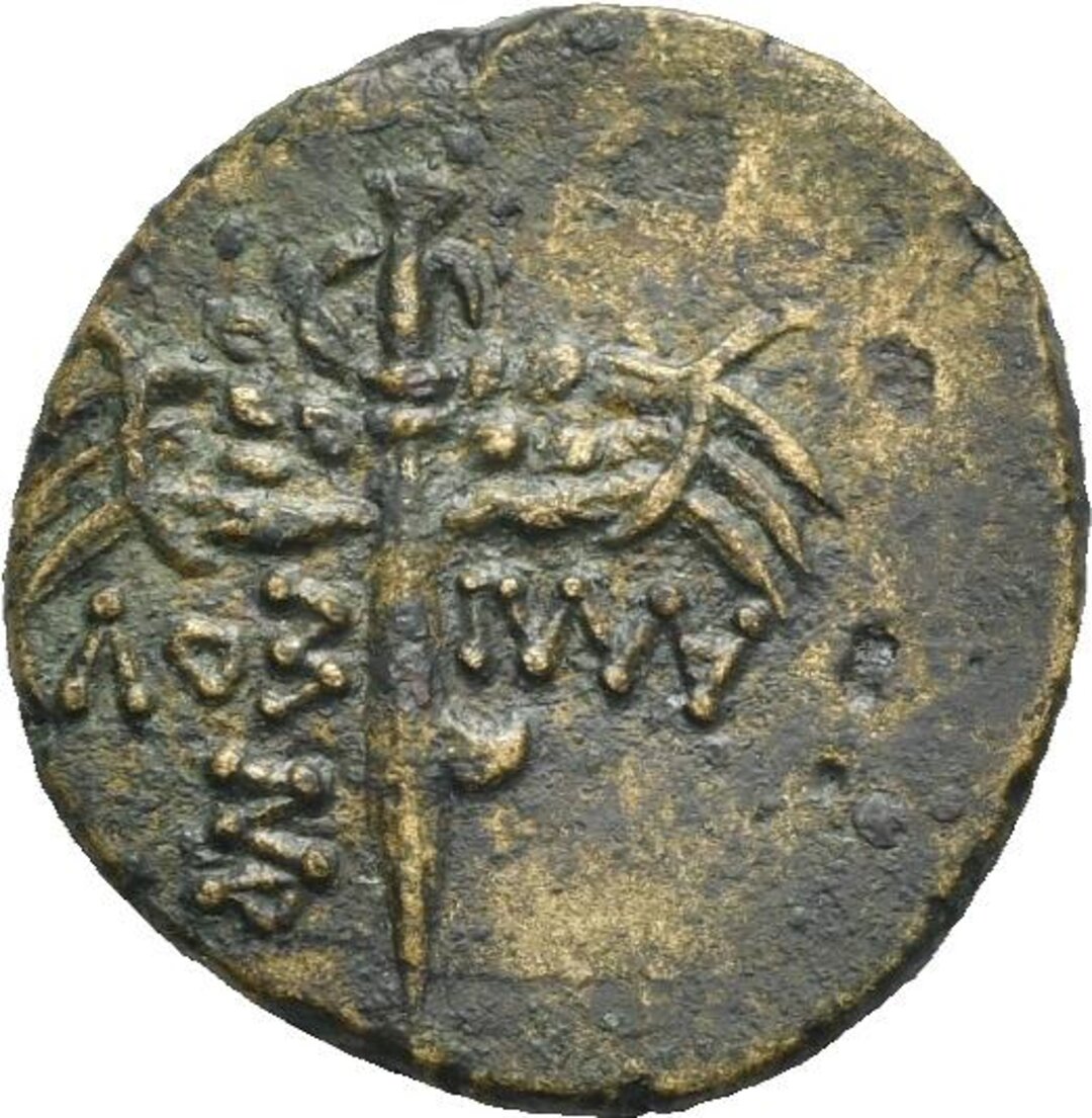 Rovescio moneta