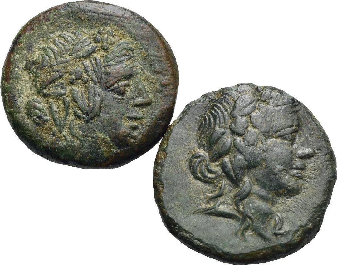 Dritto moneta