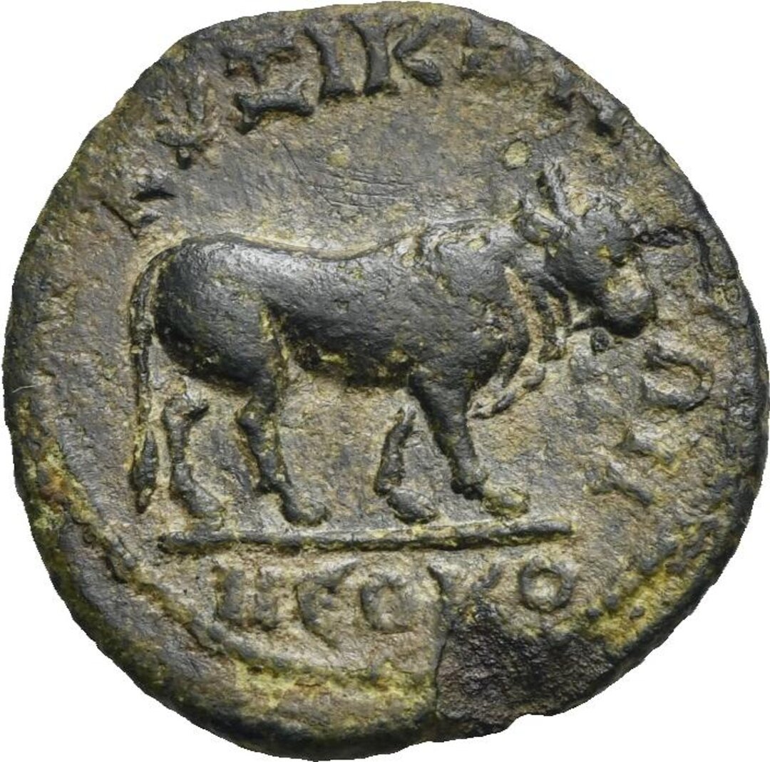 Rovescio moneta