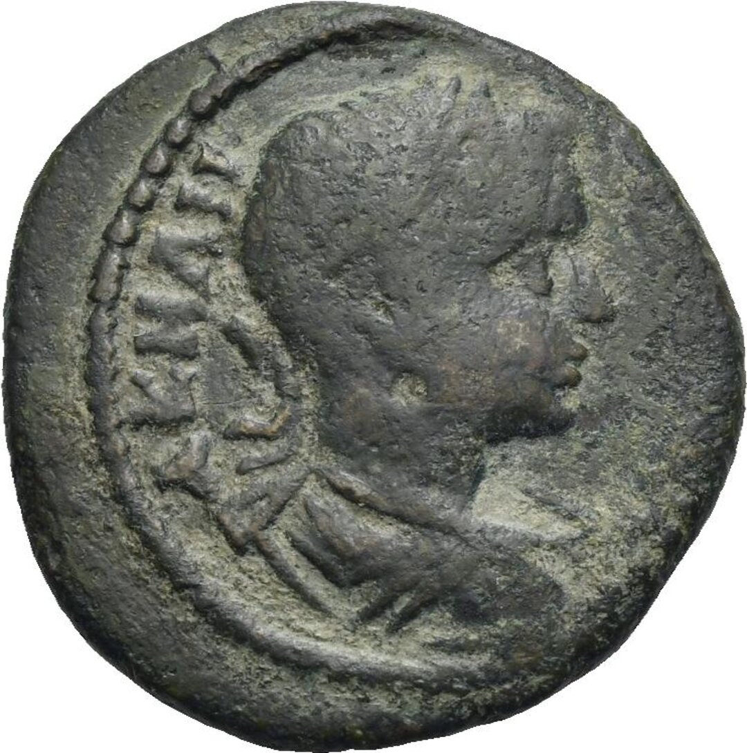 Dritto moneta