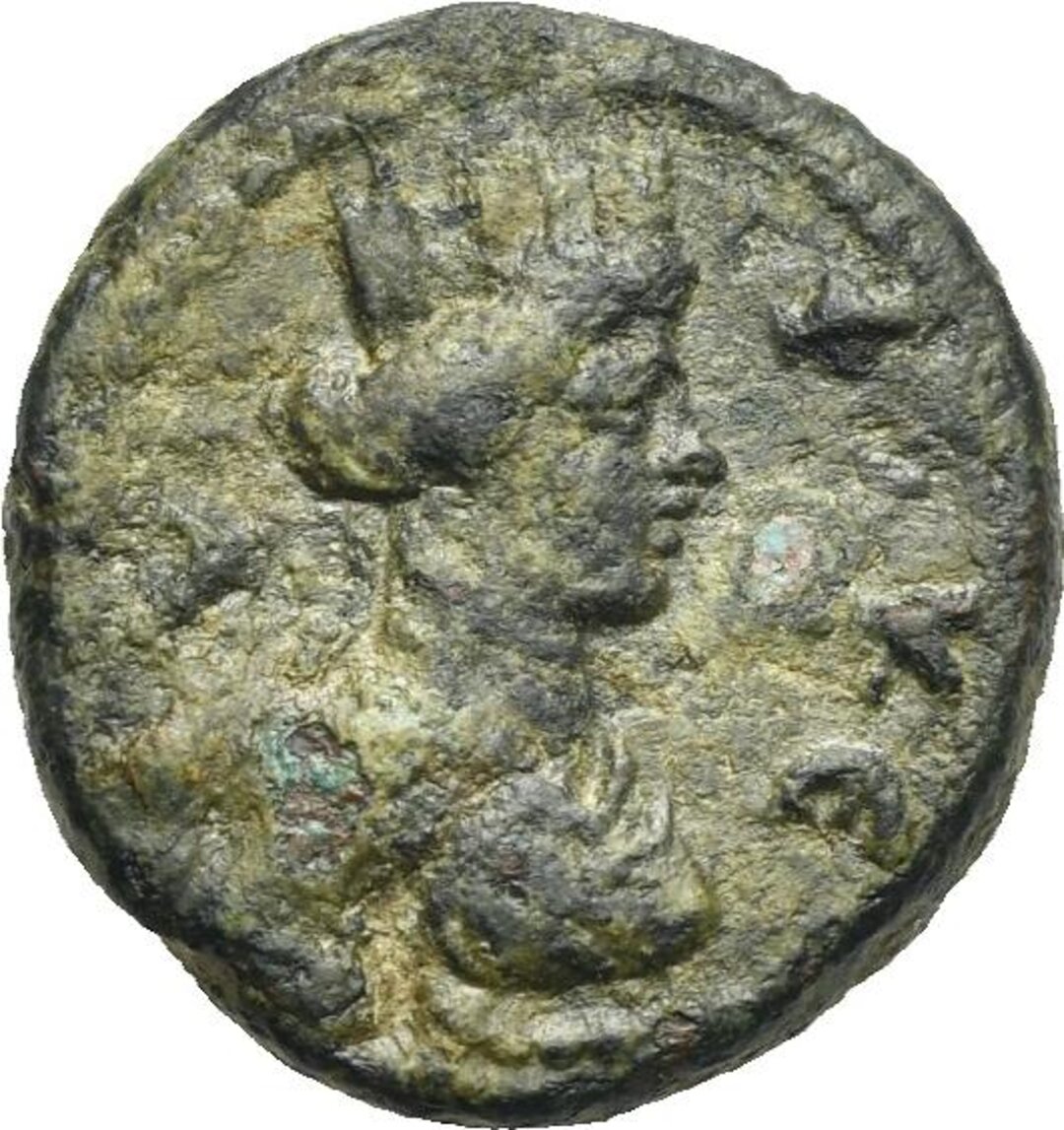 Dritto moneta