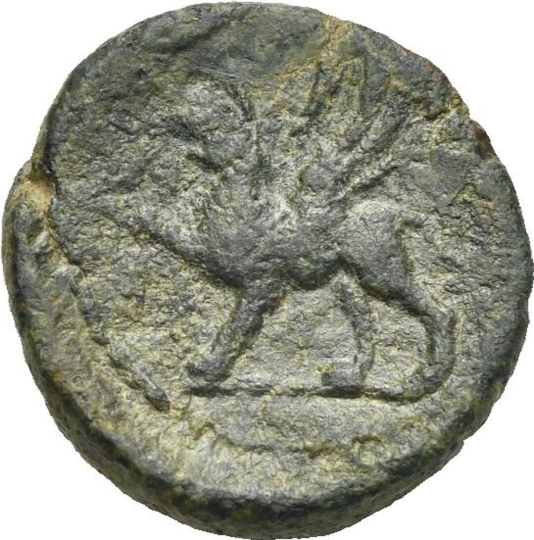 Rovescio moneta