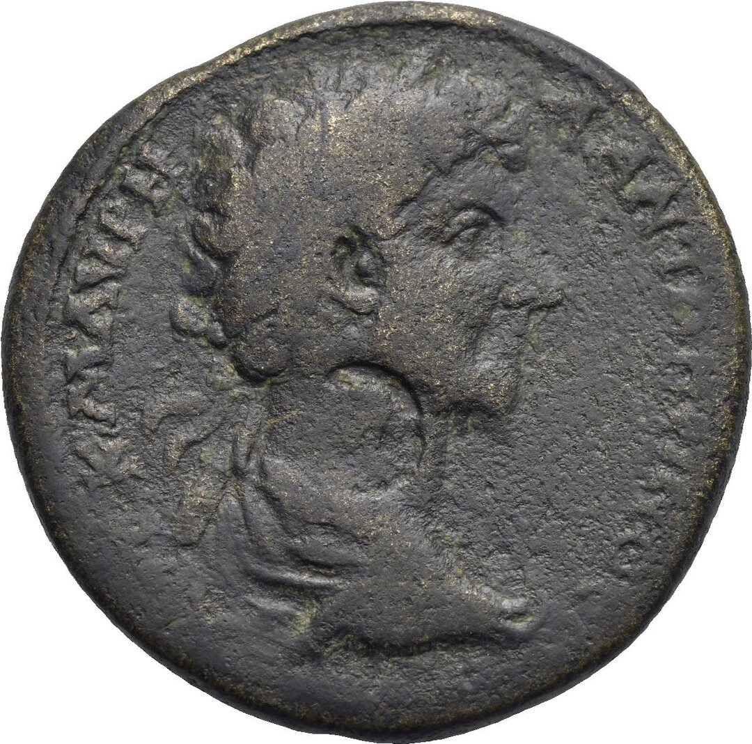 Dritto moneta