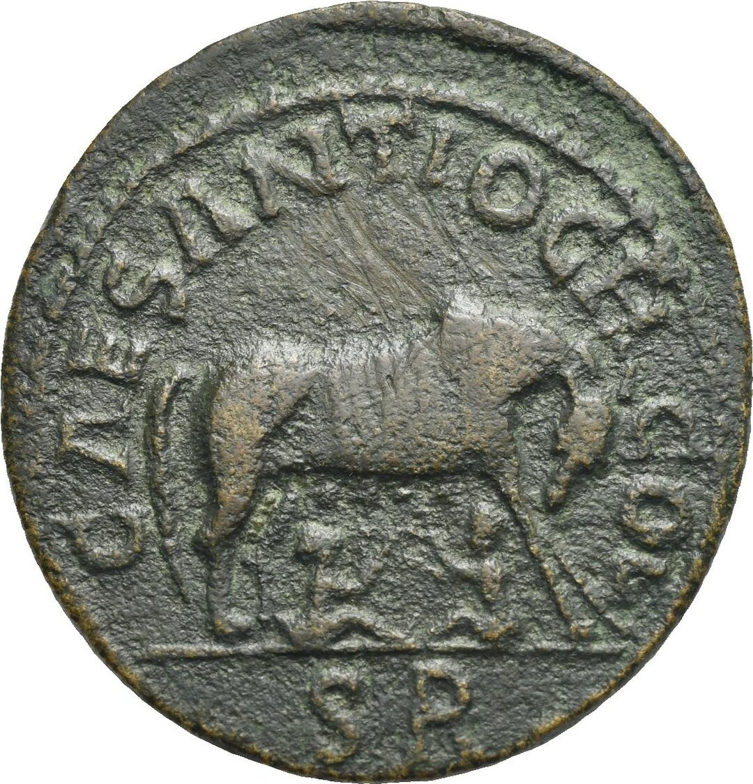 Rovescio moneta