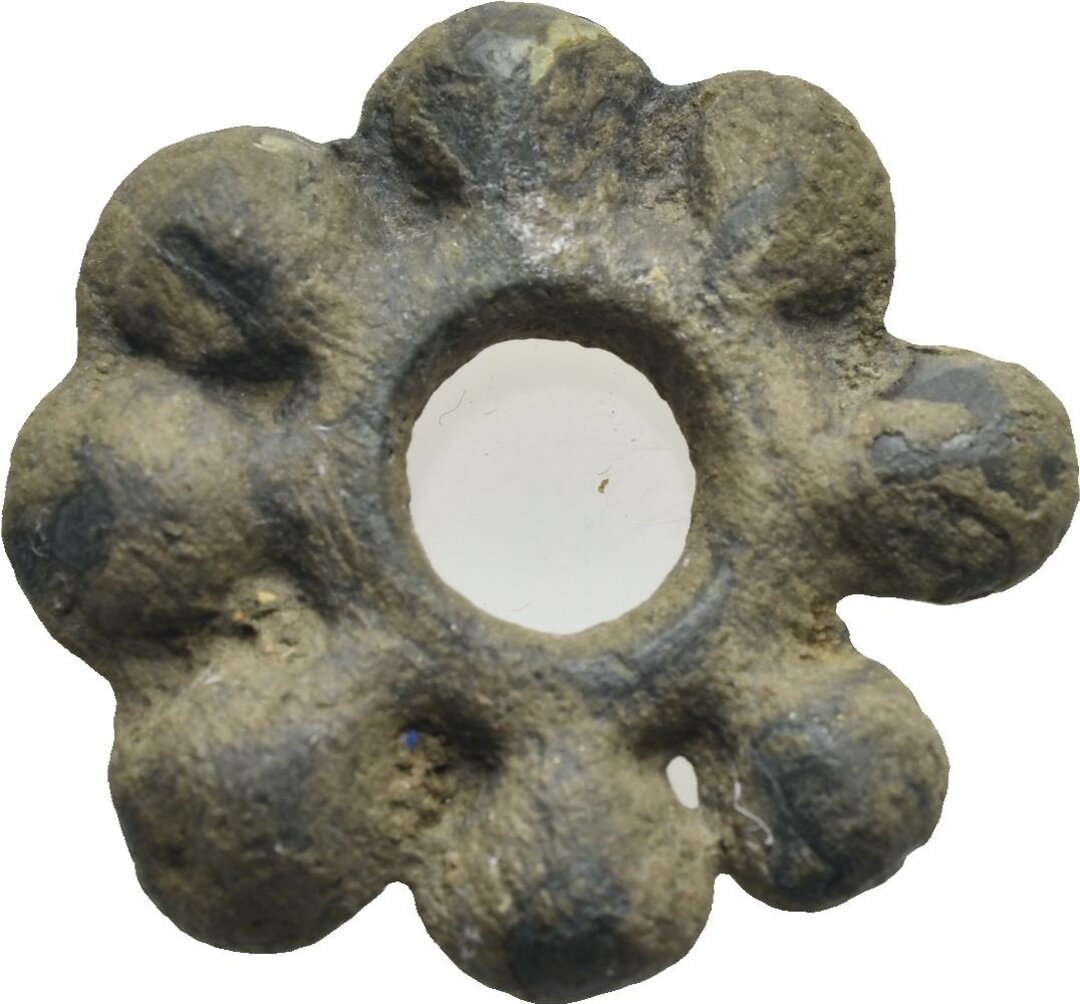 Dritto moneta