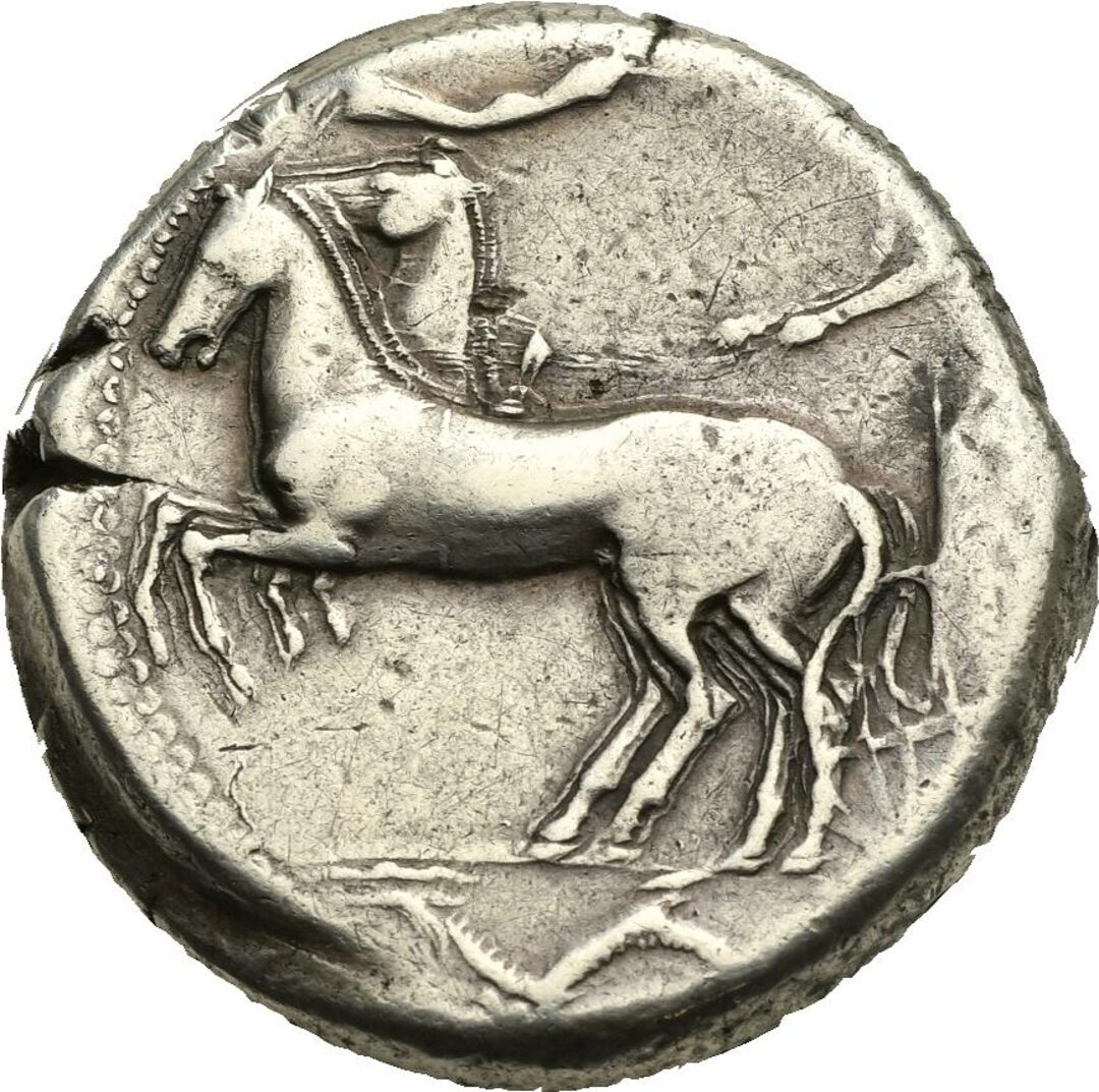 Dritto moneta
