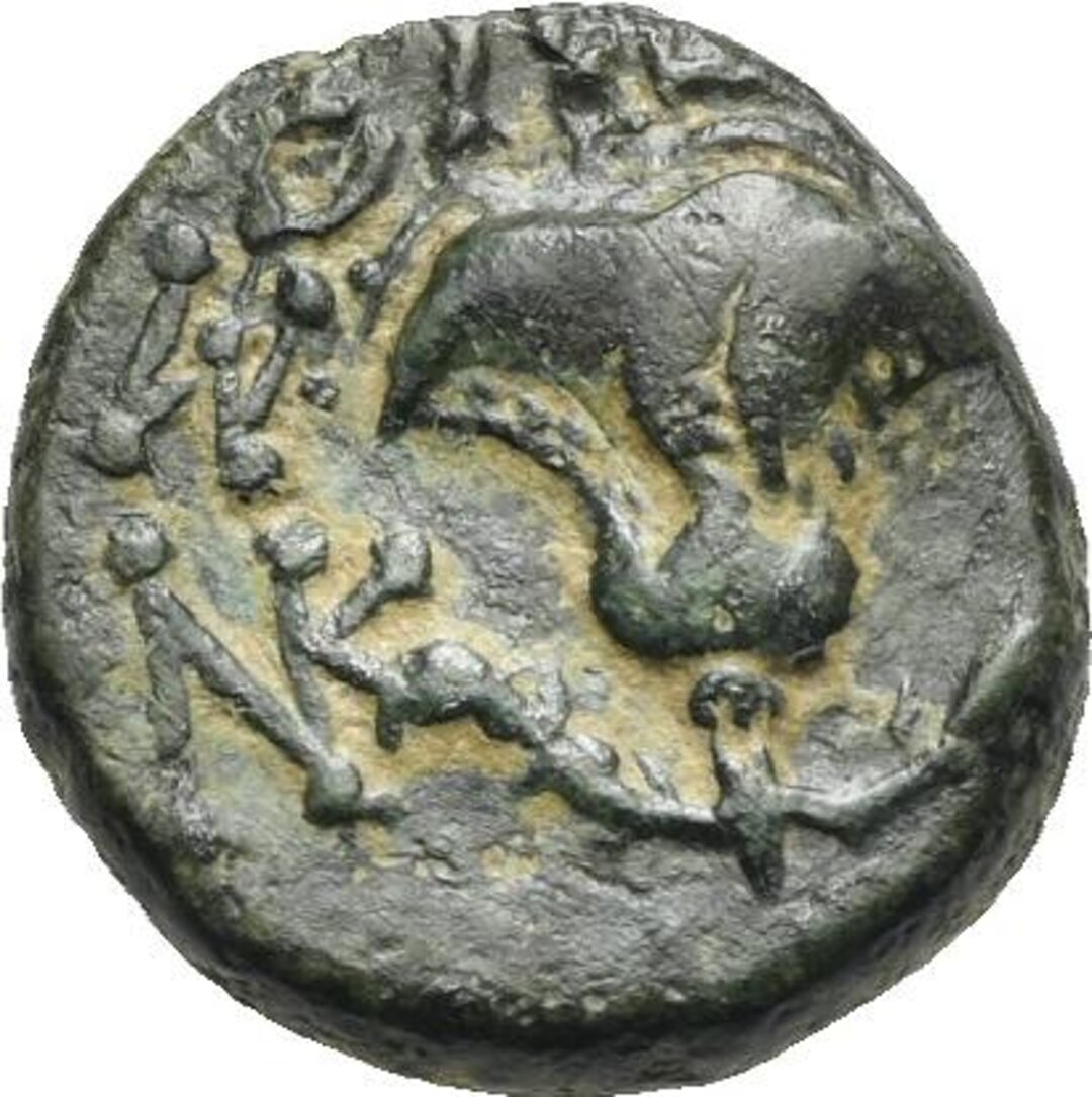 Rovescio moneta