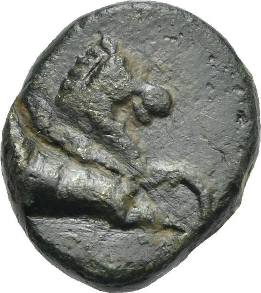 Dritto moneta