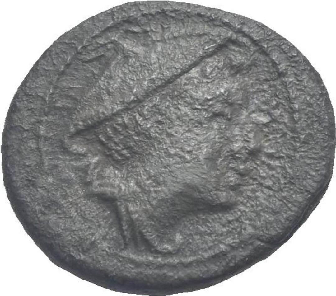 Dritto moneta