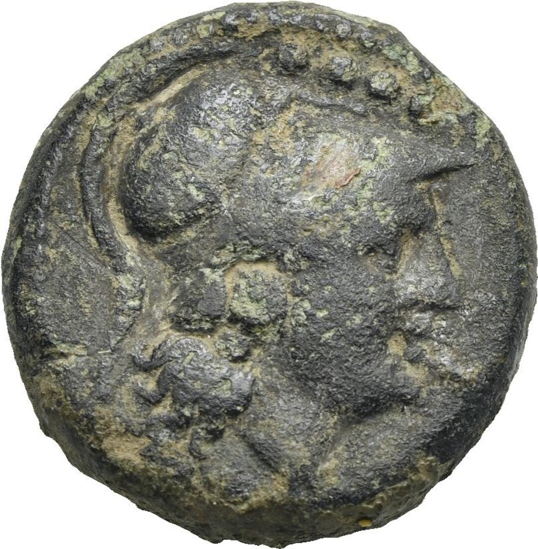 Dritto moneta