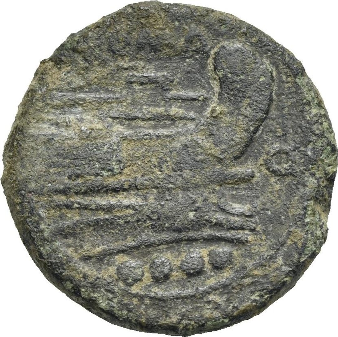 Rovescio moneta