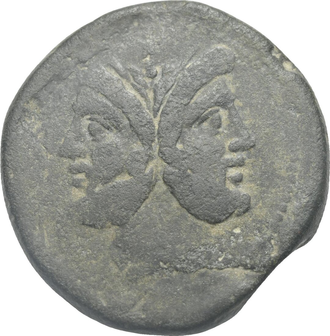Dritto moneta