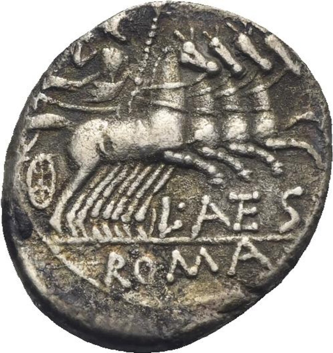 Rovescio moneta