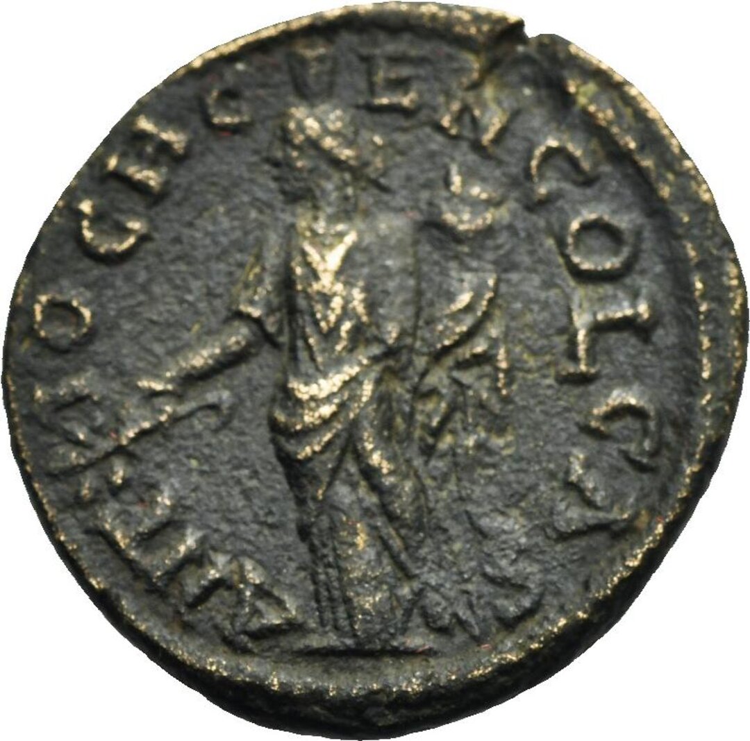 Rovescio moneta