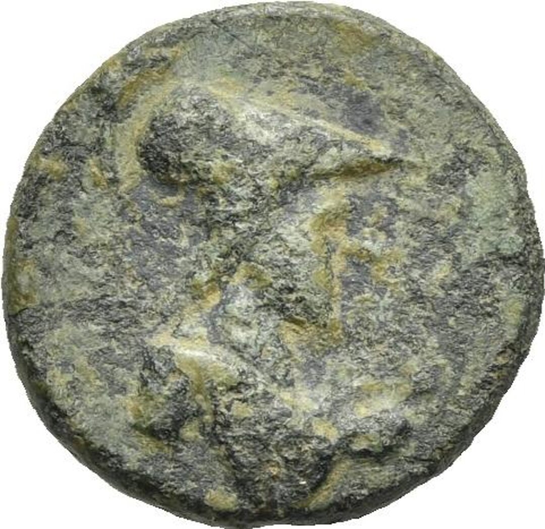 Dritto moneta