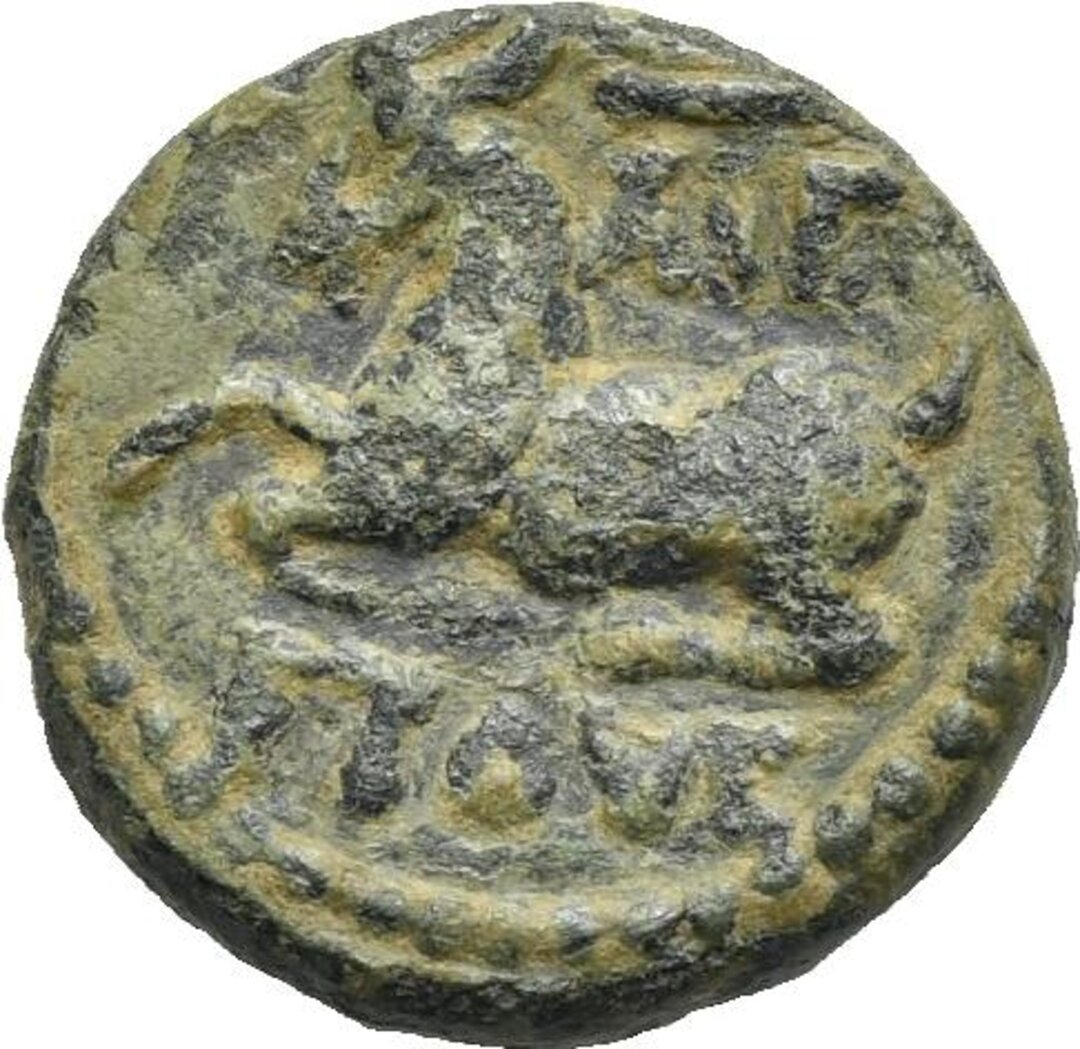 Rovescio moneta