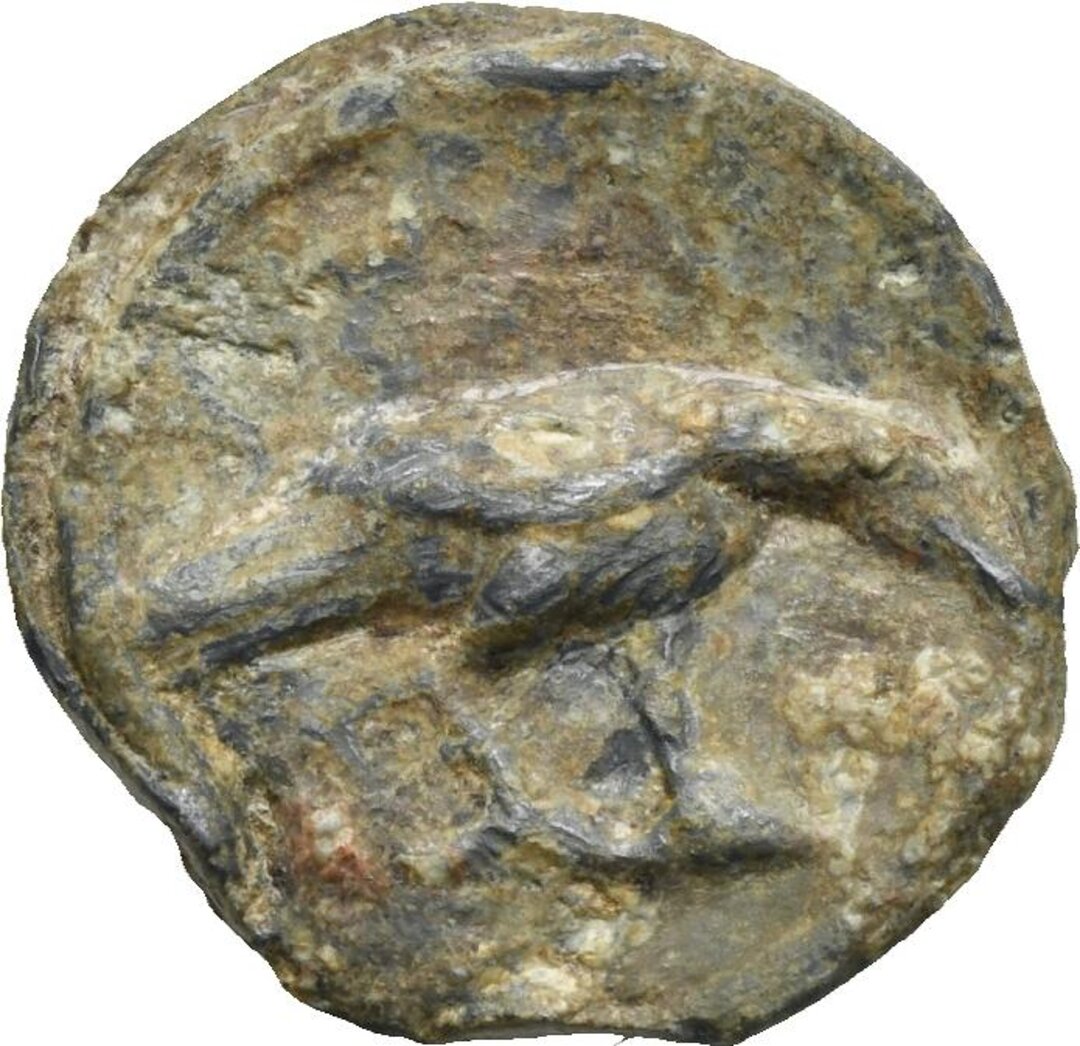 Dritto moneta