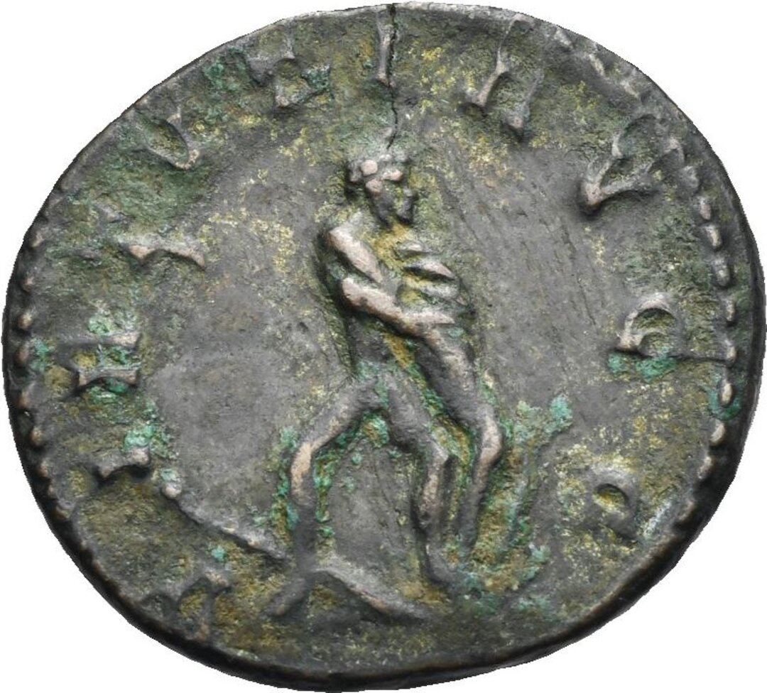 Rovescio moneta