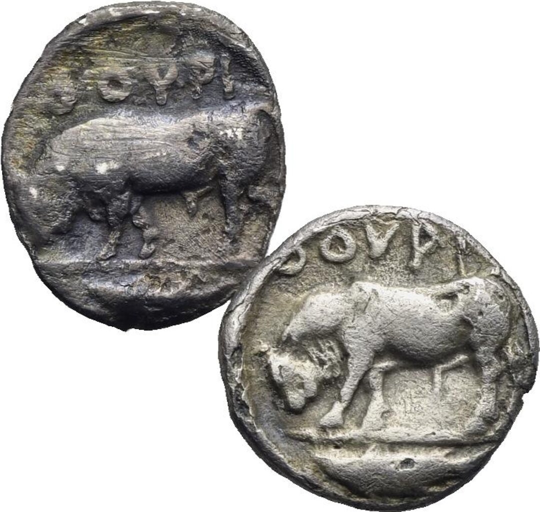 Rovescio moneta