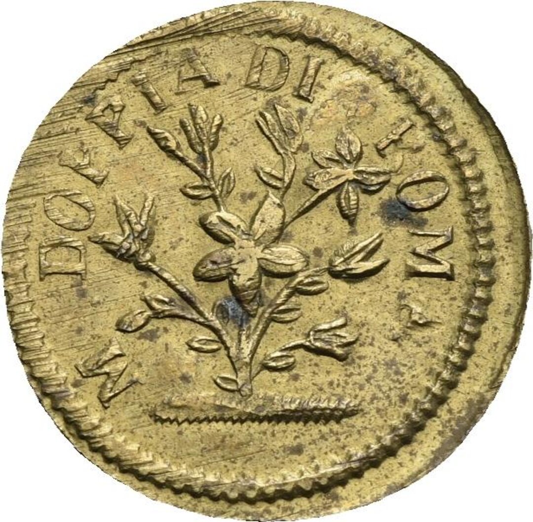 Dritto moneta