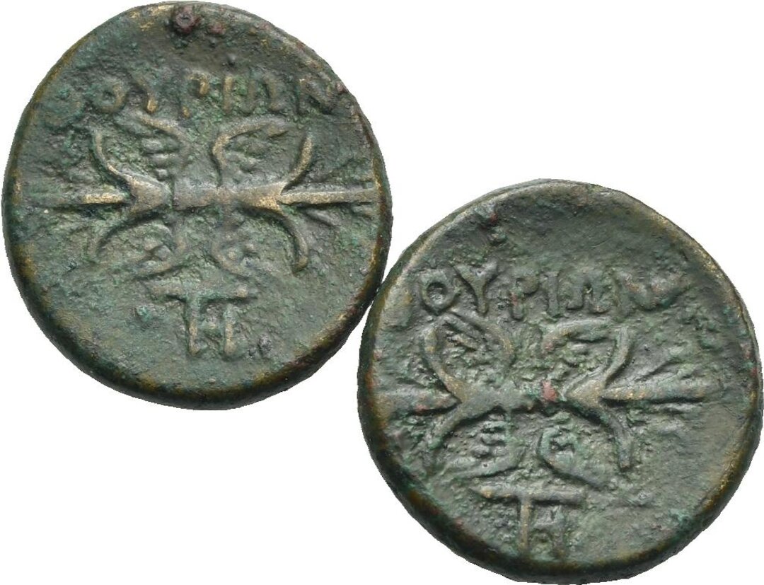 Rovescio moneta