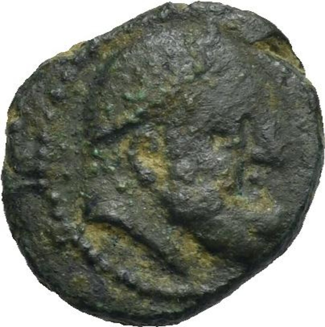 Dritto moneta