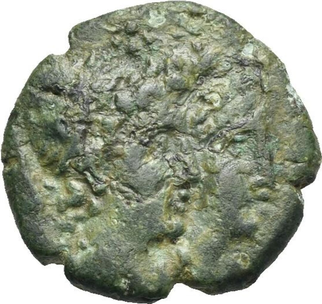 Dritto moneta