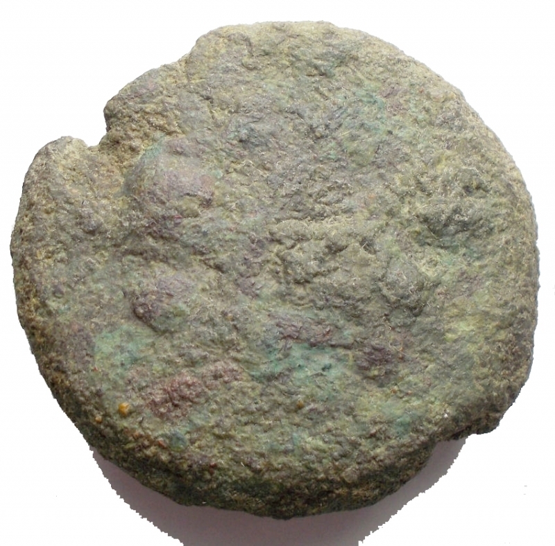 reverse: Mondo Greco - Apulia. Luceria. Bioncia ca 269-225 a.C. AE. g 59,4. mm 38,74 . d/Conchiglia r/ Astragalo. Rara. Intonsa. qBB. Patina verde.