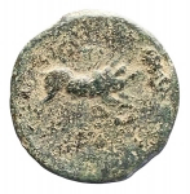 reverse: Mondo Greco - Apulia. Salapia.ca. 225-210 a.C.AE.D/ Testa laureata di Zeus a destra. Davanti, AAINN.R/ Cinghiale che corre a destra. Sopra corona. In esergo TIOY.HN Italy 691. SNG ANS 736.Pesogr. 7,14.Diametro mm. 20,6.BB-qSPL/BB+.Splendida patina verde. Intonso.R.