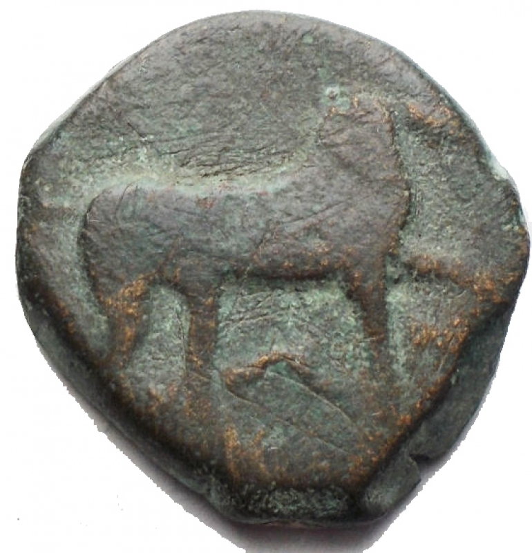 obverse: Mondo Greco - Apulia Salapia(Circa 275-270 a.C.)AE 18,15 mm.D/ Cavallo a destra. R/ Delfino a sinistra. 6,41 gr. HN Italy 685.RR.qBB