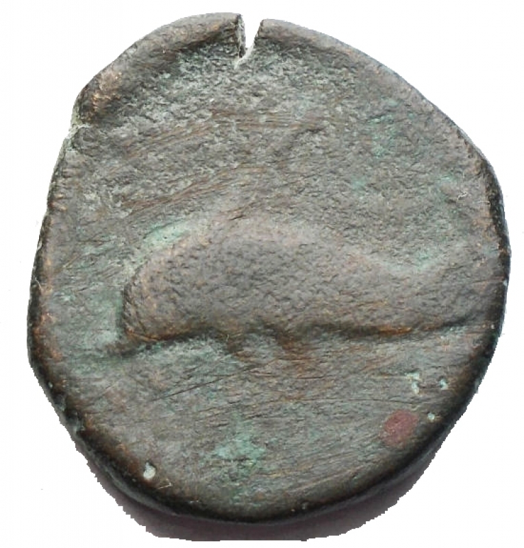 reverse: Mondo Greco - Apulia Salapia(Circa 275-270 a.C.)AE 18,15 mm.D/ Cavallo a destra. R/ Delfino a sinistra. 6,41 gr. HN Italy 685.RR.qBB
