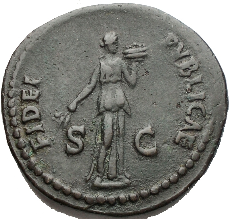 reverse: Impero Romano - Domitianus (81-96) - AE As (Rome AD 86. 9,99 g) - IMP CAES DOMIT AVG GERM COS XII CENS PER P P, laureate head right with aegis on neck / FIDEI PVBLICAE / S  C, Fides standing right, holding corn-ears with poppy in right hand and dish of fruits in left (RIC 332, BMCRE 385)  VF. Green patina