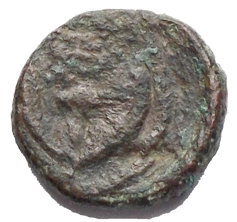 reverse: Mondo Greco -Bruttium, Rhegium.AE 9,14 mm. prima del 387 a.C.D/ Testa di leone di fronte.R/ RH entro due foglie di ulivo.SNG ANS 683 var.gr. 0.62.BB/MB+