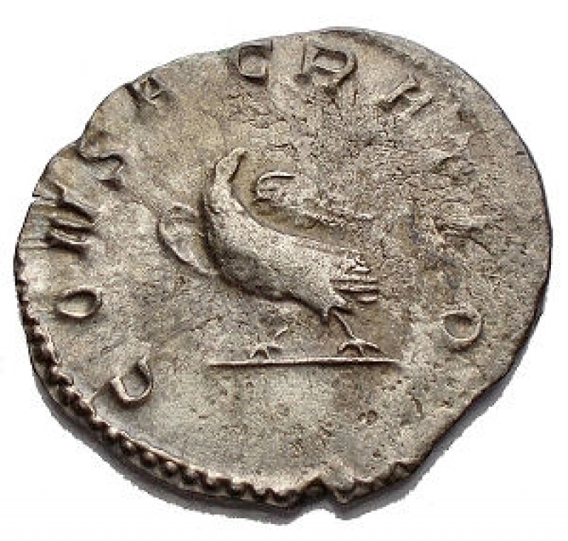 reverse: Impero Romano - Divus Valerian II (died 258 AD).BI Antoninianus. Consecration issue. Colonia Agrippinensis (Cologne) mint.D/ DIVO VALERIANO CAES.R/ CONSACRATIO.g 2,29.mm 21,88. VF