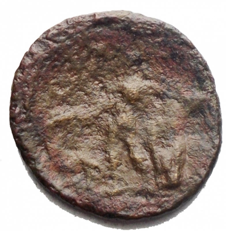 reverse: Mondo Greco - Sicilia. Alaesa. Dopo il 241 a.C.Ae. D/ Testa di Apollo verso sinistra. R/ Apollo in piedi a sinistra. SNG ANS 1185. Peso 3,3 gr. Diametro 19,15 mm. MB-qBB/MB+.R.