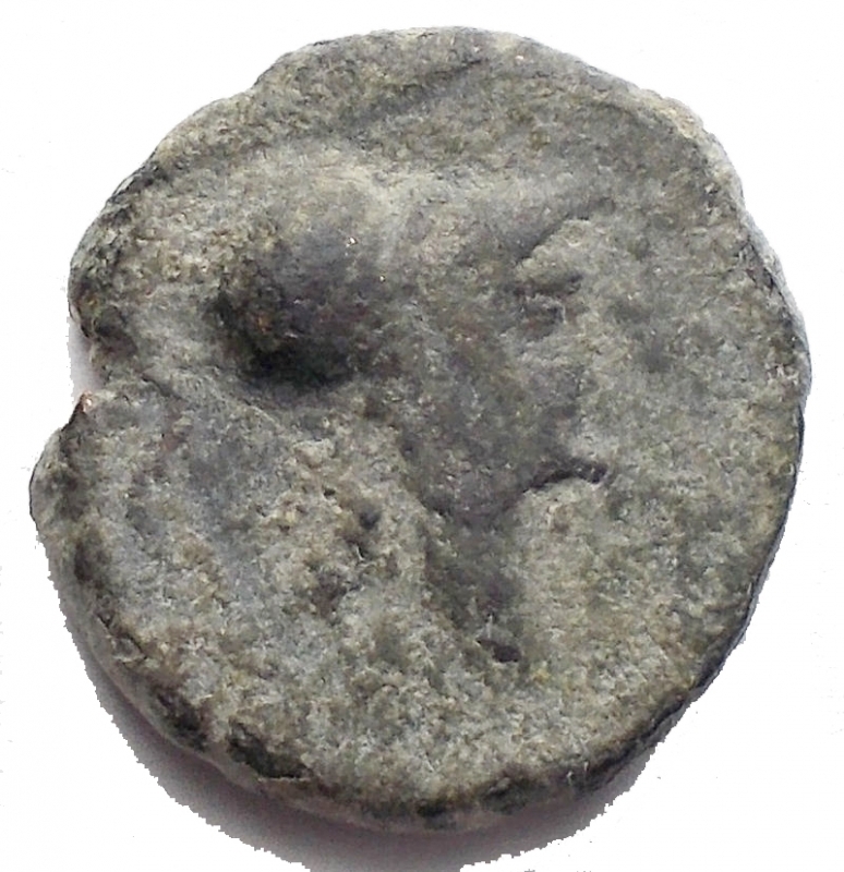 obverse: Mondo Greco -Apulia.Arpi.III secolo a.C.AE.D/ Testa di Athena con elmo corinzio a destra.R/ APANOY. Grappolo d uva.SNG ANS 646.Pesogr 3,26.Diametro 15,02 mm. Intonso.BB