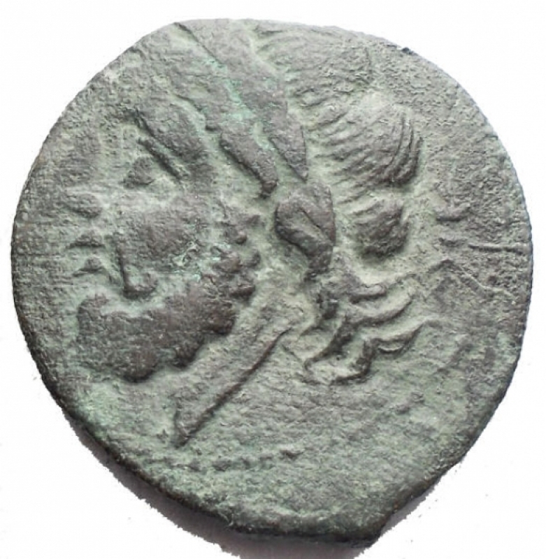 reverse: Mondo Greco - Apulia Arpi (III sec. a.C.) Obolo.D/ Testa di Zeus a sinistra.R/ Cinghiale a destra, sopra punta di freccia. Gr. 7,01. AE.SNG ANS 635.BB/BB+. Patina verde