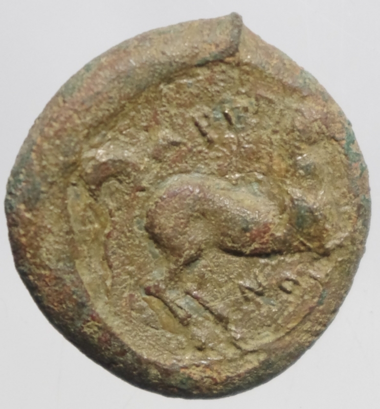 obverse: Mondo Greco .Apulia Arpi (Circa 275-250 a.C.) AE 17,9 x 18,6 mm. D/ Toro cozzante a destra. R/ Cavallo al galoppo a destra. 7,35 gr. HN Italy 645. BB. Patina verde marrone