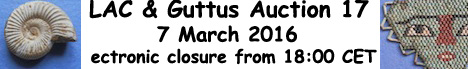 Banner Guttus Auction 17