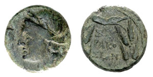 obverse: Sicily, Syracuse. Under Roman rule. After 212 BC. Æ