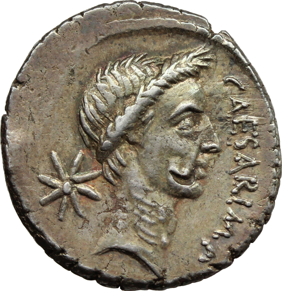 Julius Caesar. AR Denarius, 44 BC. Obv. Laureate head right; before ...