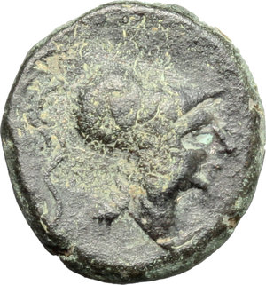 obverse: Italy. Northern Apulia, Arpi.   AE 15.5 mm. c. 215-212 BC. Obv. Head of Athena right, wearing Corinthian helmet. Rev. ΑPΠA-NOY. Bunch of grapes. HN Italy 650. SNG ANS 646. AE. g. 4.11  mm. 15.50   Dark green patina with lighter spots. VF.
