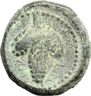 reverse: Italy. Northern Apulia, Arpi.   AE 15.5 mm. c. 215-212 BC. Obv. Head of Athena right, wearing Corinthian helmet. Rev. ΑPΠA-NOY. Bunch of grapes. HN Italy 650. SNG ANS 646. AE. g. 4.11  mm. 15.50   Dark green patina with lighter spots. VF.