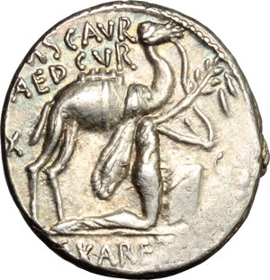 obverse: M. Aemilius Scaurus and Pub. Plautius Hypsaeus.  AR Denarius, 58 BC. Obv. M. SCAVR. Camel right; before, king Aretas kneeling right, holding reins in left hand and olive-branch tied with fillet in right hand; on left, EX; on right, SC; REX ARETAS in exergue. Rev. HYPSAEVS/AED CVR. Jupiter in quadriga left, CAPTV on right; scorpion below horses; C. HYPSAE COS/PREIV in exergue. Cr. 422/1b note. B. 8 var. Sydenham 914. AR. g. 3.93  mm. 18.00   Enchanting iridescent tone, with blue and reddish hues. About EF.