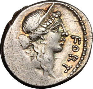 obverse: Q. Sicinius.  AR Denarius, 49 BC. Obv. Diademed head of Fortune right; before, FORT; behind, [P.R.]. Rev. Q. SICINIVS [III] VIR. Caduceus and palm in saltire; above, laurel-wreath. Cr. 440/1. B. 5. AR. g. 3.49  mm. 19.00   Superb old cabinet tone, with iridescent hues. Minor areas of weakness, otherwise about EF.