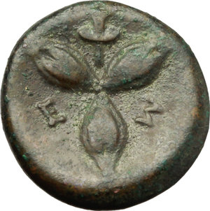reverse: Italy. Southern Lucania, Metapontum.   AE 14 mm., c. 300-250 BC. Obv. Facing head of Helios. Rev. M-E. Three barley grains radiating from centre; between two grains, race-torch. Johnston Bronze 53. HN Italy 1689. AE. g. 2.39  mm. 14.00  R. Rare. VF/Good VF.